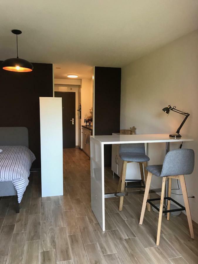 Large Studio Near Epfl And Lausanne City Center Ecublens  ภายนอก รูปภาพ