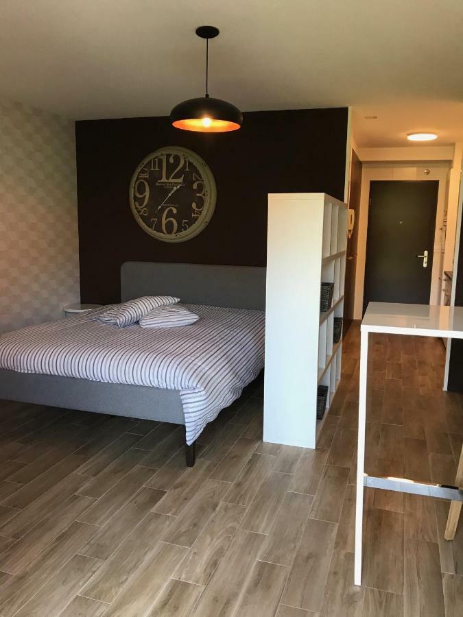 Large Studio Near Epfl And Lausanne City Center Ecublens  ภายนอก รูปภาพ